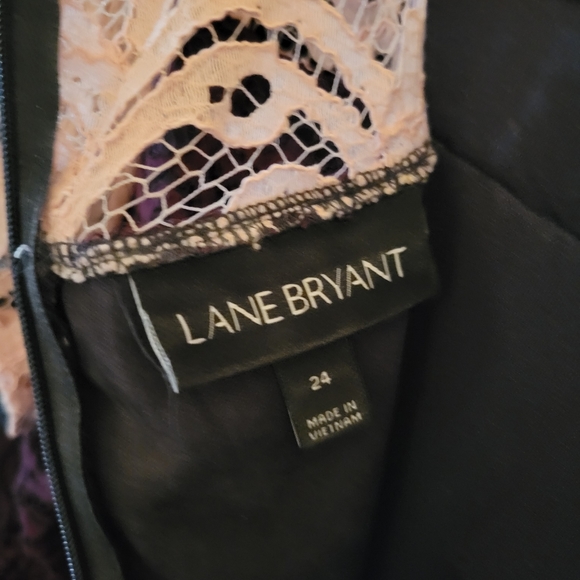 Lane Bryant size 24 Lace Dress - Picture 3 of 5